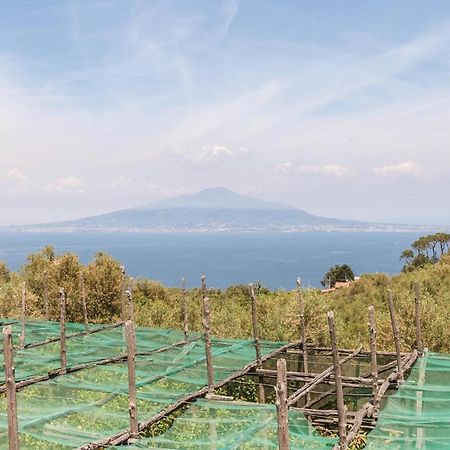 Villa La Limonaia Sorrento Exterior foto